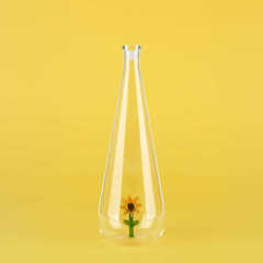 alvi - Botanical Sunflower Balvi Bottle Botanical Sunflower Yellow colour Handmade in borosilicate g