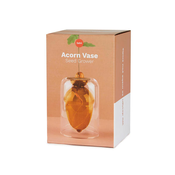 Balvi Seed grower Acorn Brown colour Grow your own oak tree from an acorn Glass 12cm