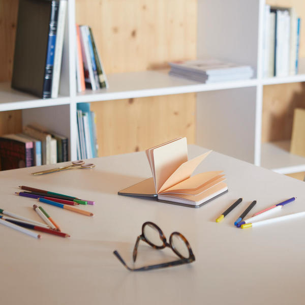 alvi Notebook Conserverie Saumon Red colour Unique notebook shaped like a vintage tuna tin Metal/pap