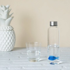 alvi Botella Blue Fish para agua 0,5 Lts Tapón antigoteo de acero inoxidable Ideal mesita de noche y