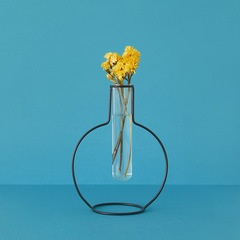 alvi Vase Round Silhouette Couleur noir Vase décoratif en verre et métal Vase original en forme de t