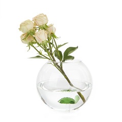alvi Vase Atlantis Green colour Vase-shaped flowers with green turtle aquarium glass inside original