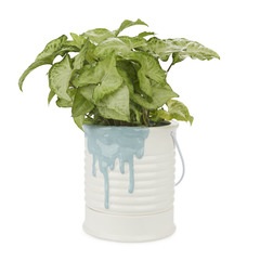 alvi Vaso da fiori Painty Colore blu e bianco pentola a forma di vernice Con manico in metallo Diame