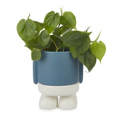 alvi Pot de fleur MrStandy Couleur bleu et blanc Pot en forme de personage sympathique Avec récipien