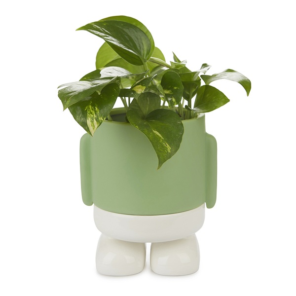alvi Maceta MrStandy Color verde y blanco Tiesto para plantas en forma de personaje simpático Con ba