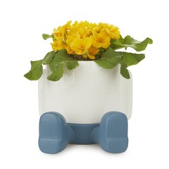 alvi Maceta MrSitty Color azul y blanco Tiesto para plantas en forma de personaje simpático Con base