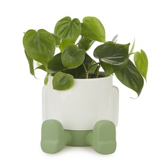 alvi Maceta MrSitty Color verde y blanco Tiesto para plantas en forma de personaje simpático Con bas