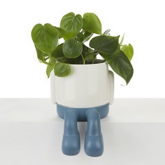 alvi Maceta MrDangly Color azul y blanco Tiesto para plantas en forma de personaje simpático Con bas