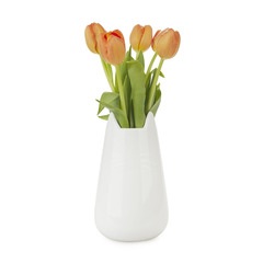 alvi Dekorativer Topf Meow Weiß Farbe Dekorative Behälter In Katzenform Mehrere Anwendungen 20,5x11,