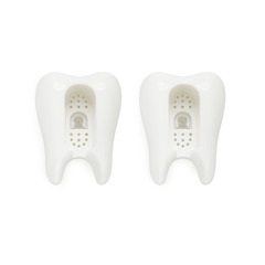 Balvi Toothbrush holder Toothy Colour white Set of 2 pieces Suction cup ABS plastic