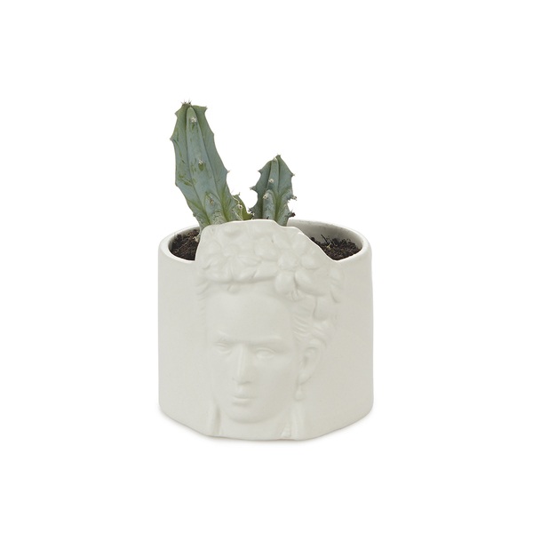 alvi Mini pot de fleur Frida Couleur blanc Pot pour petites plantes Idéal pour des cactus Céramique