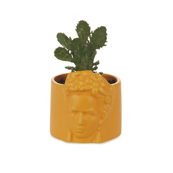 alvi Mini maceta Frida Color amaraillo Tiesto para plantas pequeñas Ideal para cactus Cerámica 8,5 c