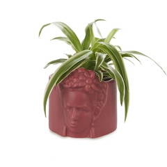 alvi Blumentopf Mini Frida Rose Farbe Tiesto für kleine Anlagen Ideal für Kaktus Keramik 8,5 cm diám