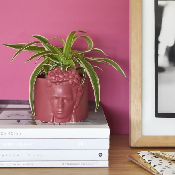 alvi Mini pot de fleur Frida Couleur rose Pot pour petites plantes Idéal pour des cactus Céramique 8