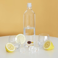 Balvi Flasche Globefish Glasflasche mit Stöpsel in Form eines Kugelfisches Borosilikatglas 30 cm