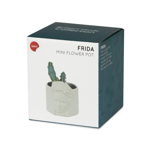 alvi Mini pot de fleur Frida Couleur blanc Pot pour petites plantes Idéal pour des cactus Céramique