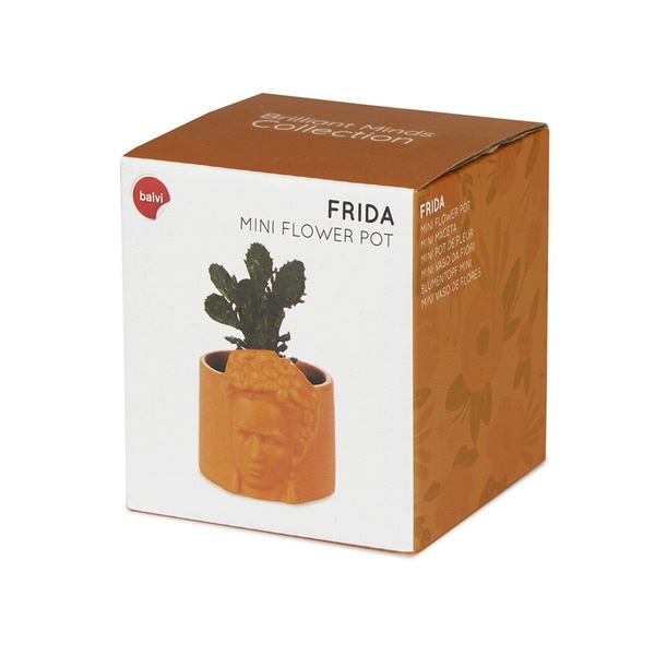 alvi Mini maceta Frida Color amaraillo Tiesto para plantas pequeñas Ideal para cactus Cerámica 8,5 c