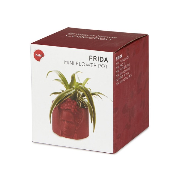 alvi Mini pot de fleur Frida Couleur rose Pot pour petites plantes Idéal pour des cactus Céramique 8