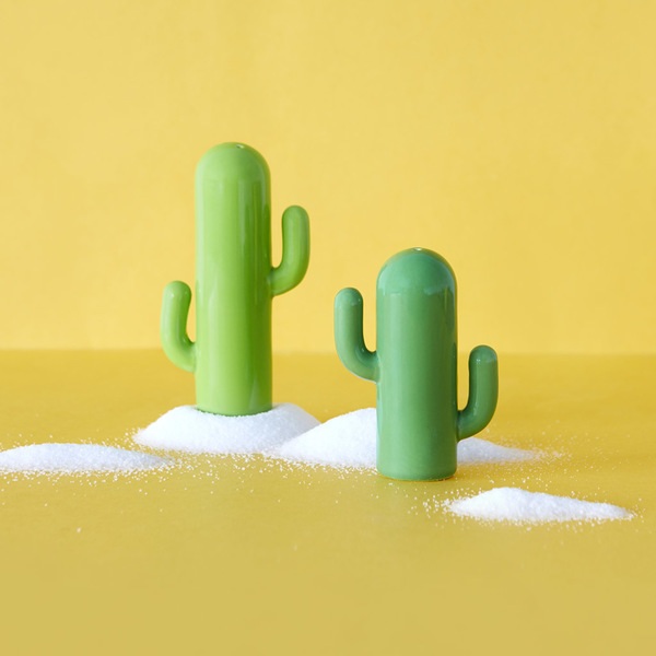 Balvi Set sal & pimienta Cactus Color verde En forma de cactus Porcelana