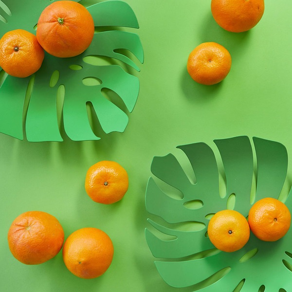 Balvi Früchteschale Monstera Farbe Grün In Form eines Blattes Metall