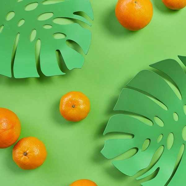 Balvi Früchteschale Monstera Farbe Grün In Form eines Blattes Metall