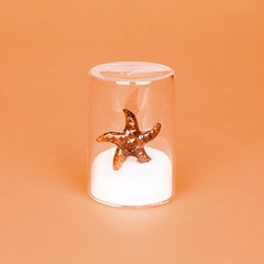 Balvi Salero Starfish Color ámbar Figura en forma de estrella de mar Borosilicato