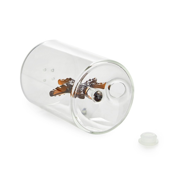 Balvi Salero Starfish Color ámbar Figura en forma de estrella de mar Borosilicato