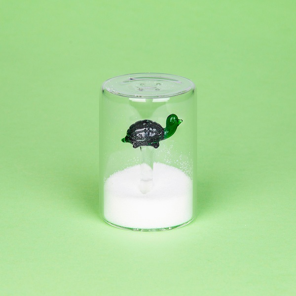 Balvi Salero Turtle Color verde Con figura en forma de tortuga marina Borosilicato
