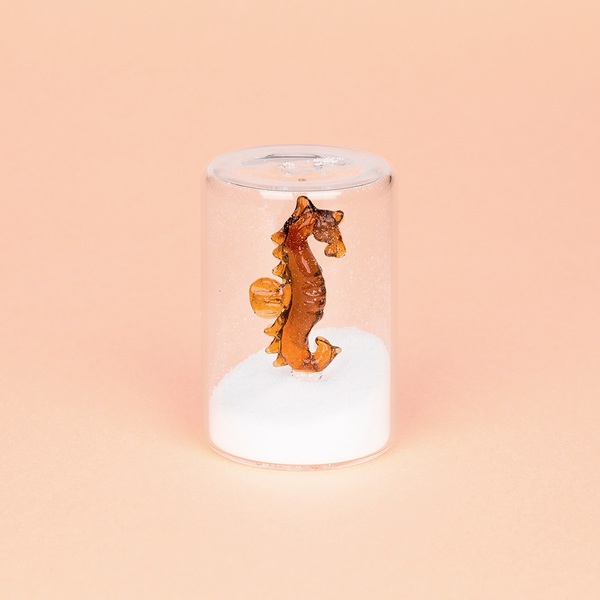 Balvi Salero Seahorse Color ámbar Con figura en forma de caballito de mar Borosilicato