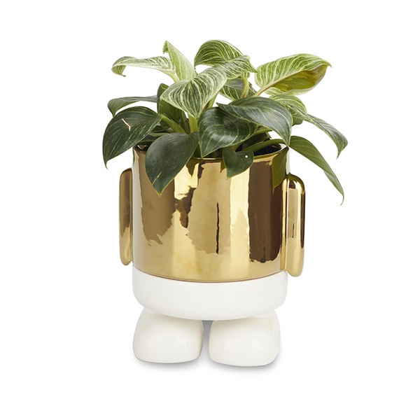alvi Maceta MrStandy Gold Edition Color Dorado Esta elegante maceta no pasa desapercibida en tu esta