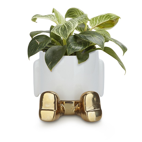 alvi Maceta MrSitty Gold Edition Color Dorado Una maceta para plantas y flores divertida Cerámica 20