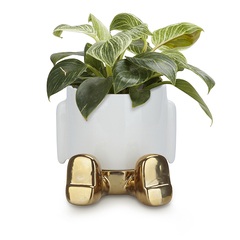 alvi Maceta MrSitty Gold Edition Color Dorado Una maceta para plantas y flores divertida Cerámica 20