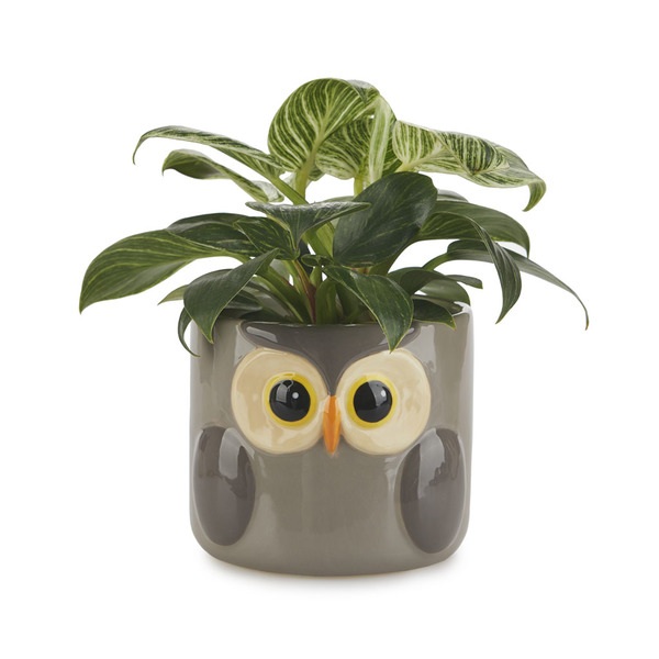 Balvi Vaso per piante Owl Colore Grigio Un coprivaso con disegno di gufo Ceramica 11,7x13,5x135 cm