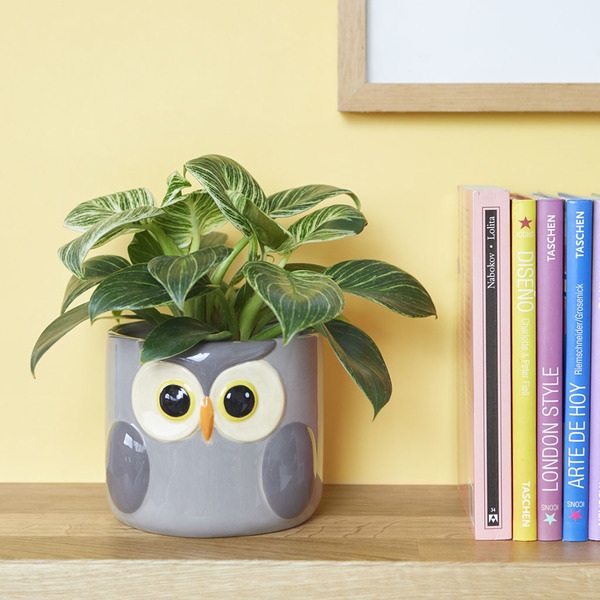 Balvi Vaso per piante Owl Colore Grigio Un coprivaso con disegno di gufo Ceramica 11,7x13,5x135 cm
