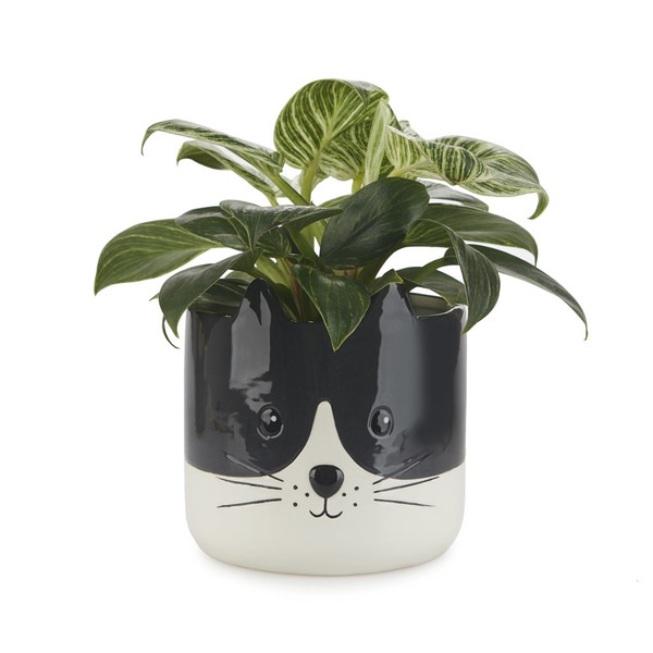 alvi Blumentopf Kitty Farbe Schwarzweiß Origineller Blumentopf in Form eines Kätzchens Keramik 13,7