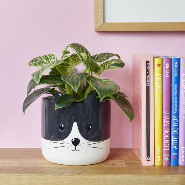 alvi Blumentopf Kitty Farbe Schwarzweiß Origineller Blumentopf in Form eines Kätzchens Keramik 13,7