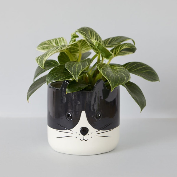 alvi Blumentopf Kitty Farbe Schwarzweiß Origineller Blumentopf in Form eines Kätzchens Keramik 13,7