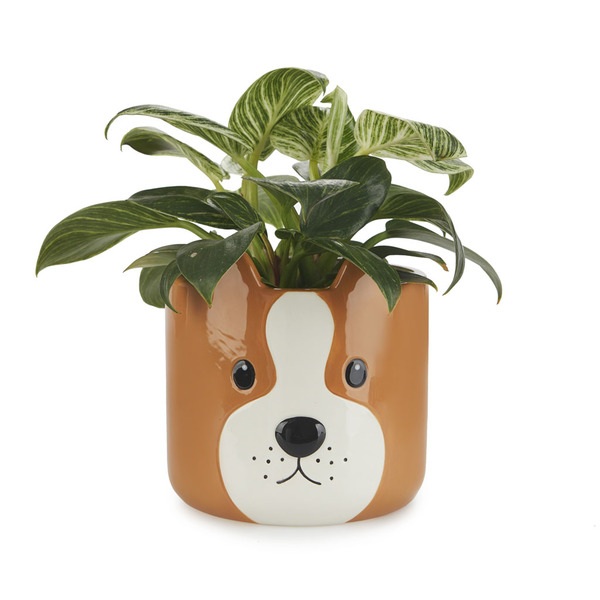Balvi Maceta Woof Color Marrón Original maceta con diseño perruno Cerámica 13,5x13,5x13,5 cm