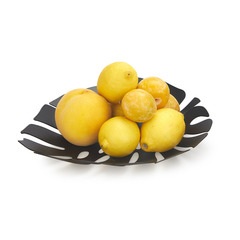 Balvi Corbeille à fruits Monstera Couleur Noir Objet deco avec cette plante à la mode Métal