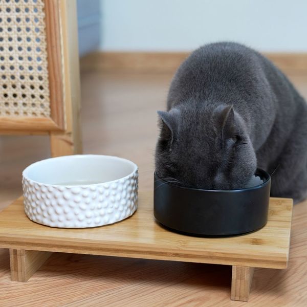 Balvi - Komeki Balvi Pet Feeder bowl set Komeki Design inspired by sushi rolls Ceramic/bamboo