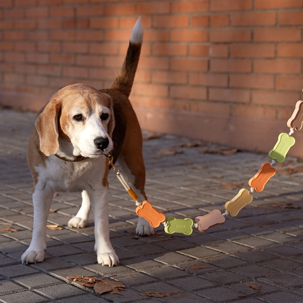 Balvi - Biscuit Balvi Dog leash Biscuit Lightweight, and shaped like dog cookies Plastic 108 cm