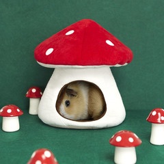 Balvi Meerschweinchenbett Mushroom Stoffbettchen im Pilzdesign für kleine Nagetiere Polyester