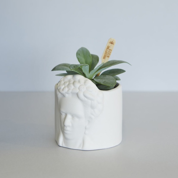 alvi Mini pot de fleur Frida Couleur blanc Pot pour petites plantes Idéal pour des cactus Céramique