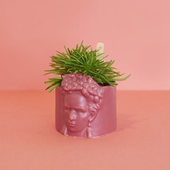 alvi Blumentopf Mini Frida Rose Farbe Tiesto für kleine Anlagen Ideal für Kaktus Keramik 8,5 cm diám