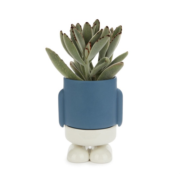 Balvi Mini maceta Mr Standy Color Azul Su parte inferior recoge el agua  Cerámica 13x8,5x8,5 cm