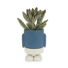 alvi Mini vaso Mr Standy Colore Blu La parte inferiore raccoglie l’acqua in eccesso Ceramica 13x8,5x