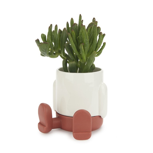 alvi Mini Blumentopf Mr Sitty Farbe Rot Am Bodenteil sammelt sich das überschüssige Wasser Aus Keram