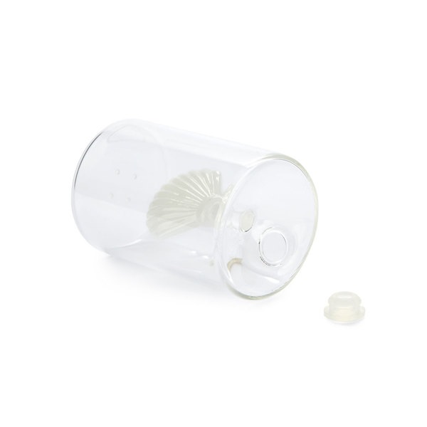 Balvi Salero Atlantic Shell Color blanco Hecho a mano en borosilicato Vidrio