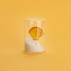 Balvi Salzstreuer Atlantic Shell Farbe Gelb Handgemacht aus Borosilikatglas