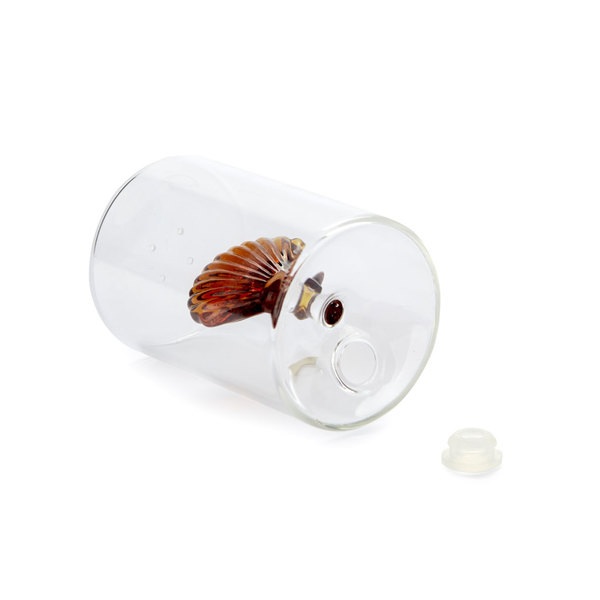 Balvi Salero Atlantic Shell Color ámabar Hecho a mano en borosilicato Vidrio